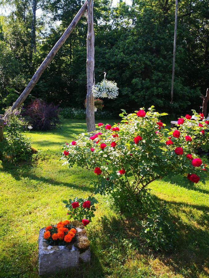 Kotka Farm Hotel Saarekula Buitenkant foto