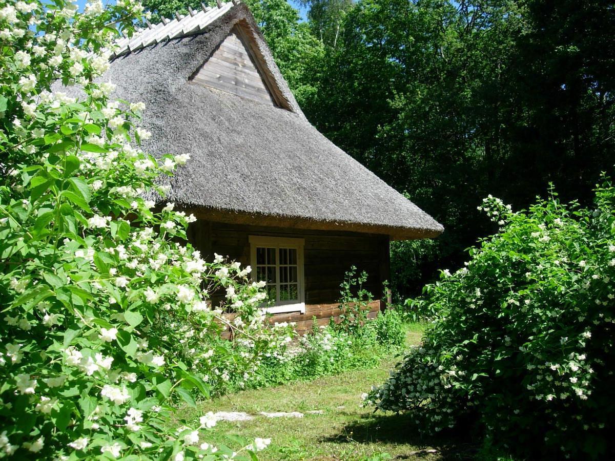 Kotka Farm Hotel Saarekula Buitenkant foto